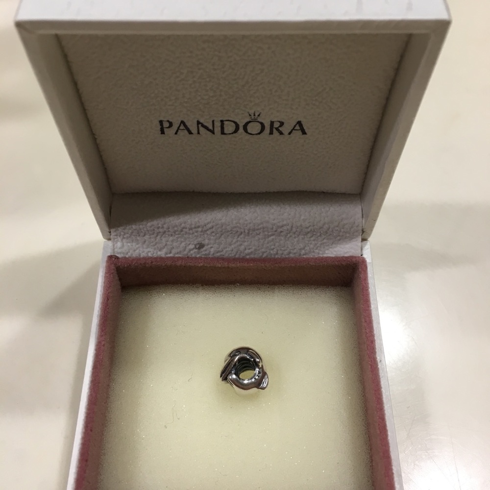 Pandora Dolphin Charm